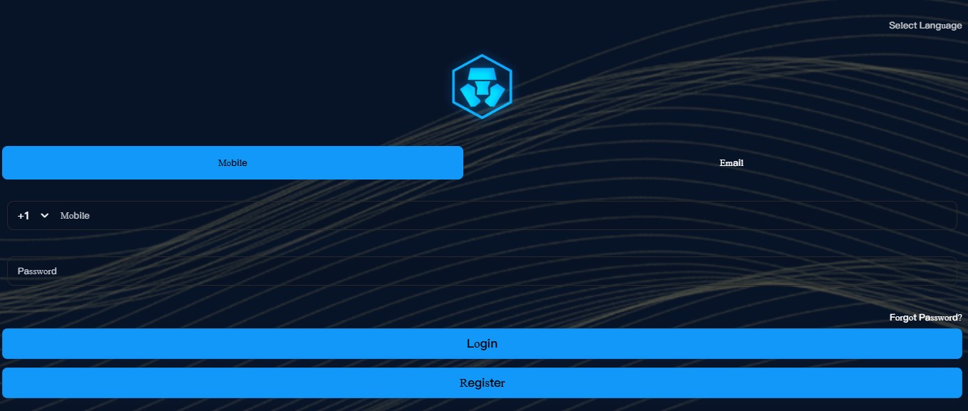 OnchainCodeIni.com