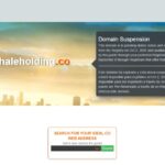 BlueWhaleHolding.co