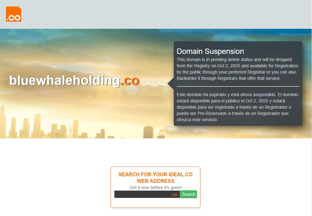 BlueWhaleHolding.co