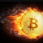 vivatox.io