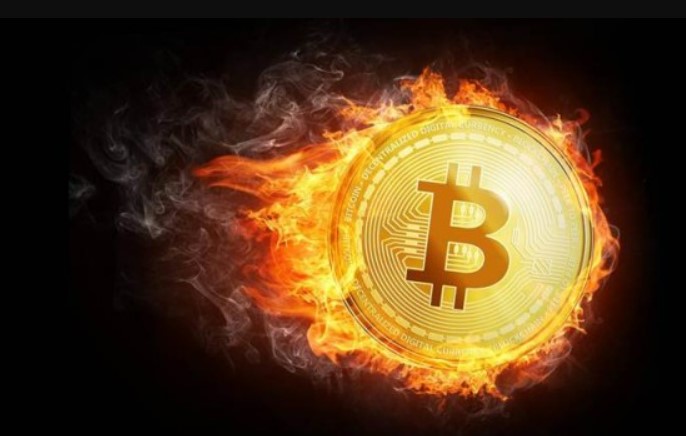 vivatox.io