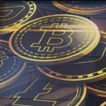 Thecryptonest.org